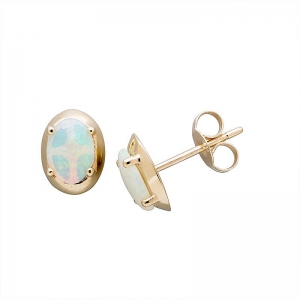 Apex Oval Solid Opal 7x5mm  Stud Earring 9kt Yellow Gold